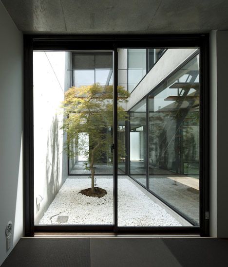 Japanese Courtyard House, Apollo Architects, Japanese Courtyard, Courtyard Houses, Modern Japanese Architecture, Indoor Courtyard, Japanese Buildings, Terrasse Design, Courtyard Design