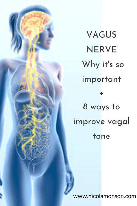 Vague Nerve, Vagal Tone, Vagus Nerve Stimulator, Polyvagal Theory, Nervus Vagus, The Vagus Nerve, Nerve Health, Vagus Nerve, Good Health Tips