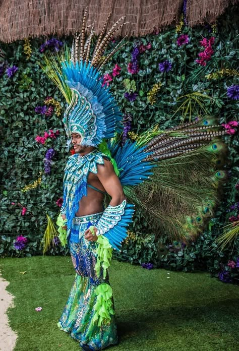 Carnival Entertainment, Brazil Carnival Costume, Rio Carnival Costumes, Carribean Carnival Costumes, Carnival Images, Carnival Outfit Carribean, Caribbean Carnival Costumes, Carnival Fashion, Carnaval Costume