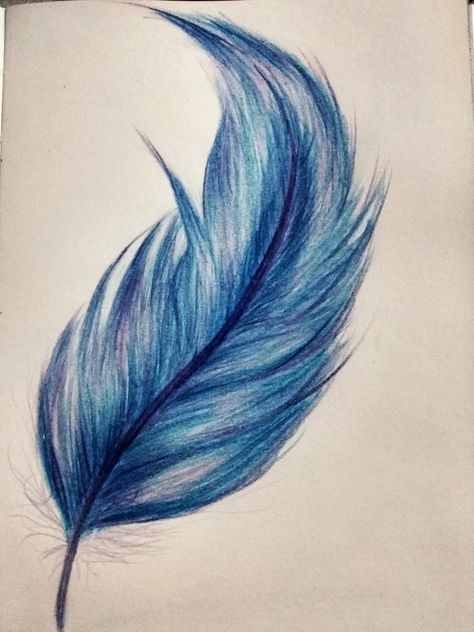 Pin with a feather drawing Charcoal Feather Drawing, Colorful Feather Drawing, Feather Drawing Reference, Feather Drawing Pencil, Watercolour Feathers, Feather Drawings, Feather Art Drawing, Feather Art Projects, Feathers Drawing