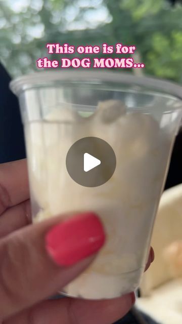 Mini Goldendoodle & Dog Mom Lifestyle on Instagram: "🍦SHARE with a DOG MOM!

Ok, it is possible, I guess🤪
My dog LOVES pup cups and it makes me so happy to see her enjoy her little treat while I enjoy my treat!

➡️Does your dog love pup cups?

💗FOLLOW FOR MORE DOG MOM CONTENT💗

#dogmomaf #dogmomsclub #dogmama #doodlemom #dogmomsofinstagram #dogparents #pupcup #pupcupstarbucks #petparent #spoileddog #dogsofworld #newyorkdogs #dogsofnewyork" Pup Cups, Mom Lifestyle, Doodle Mom, Mini Goldendoodle, Moms Club, Dog Mama, Dog Parents, Pet Parent, Goldendoodle