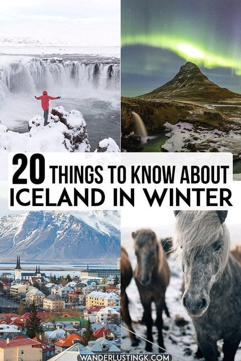 Europe Winter Travel, Iceland In Winter, Iceland Vacation, Iceland Winter, Travel Iceland, Iceland Trip, Iceland Travel Guide, Winter Travel Destinations, Iceland Travel Tips