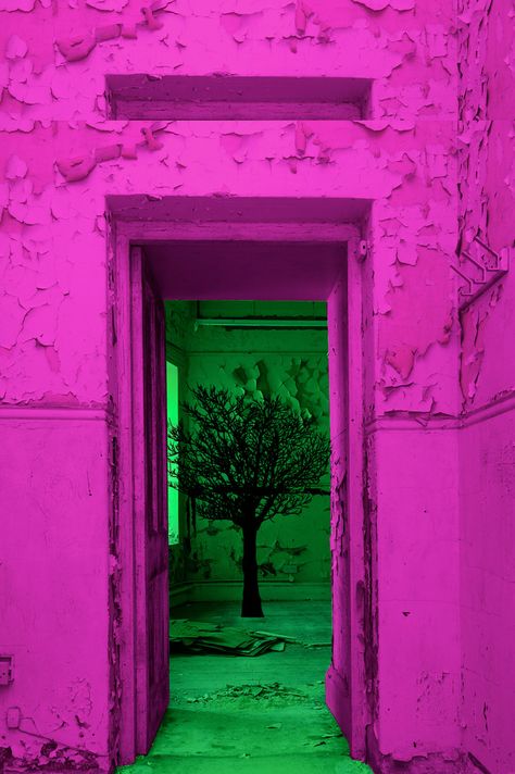 Neon Colors Aesthetic, Green And Hot Pink Aesthetic, Pink And Green Aesthetic Wallpaper, Green And Magenta Aesthetic, Pink Purple Blue Green Aesthetic, Neon Pink And Green Wallpaper, Green And Purple Photography, Pink And Green Aesthetic, Aesthetic Wallpaper Quotes