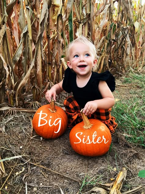 Big Sister Pumpkin Announcement, Big Sister Fall Announcement, October Pregnancy Announcement Baby 2, Halloween Big Sister Announcement, Thanksgiving Sibling Announcement, Cute Fall Pregnancy Announcements, Pumpkin Baby Announcement With Sibling, Fall Big Sister Announcement, Fall Family Photos Pregnancy Announcement