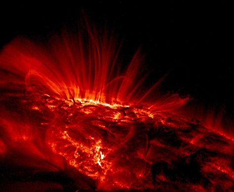 What Is A Sunspot? Pictures Of The Sun, Geomagnetic Storm, Sun Solar, Astronomy Pictures, Hubble Telescope, Sun Photo, Solar Flare, Our Solar System, Science And Nature