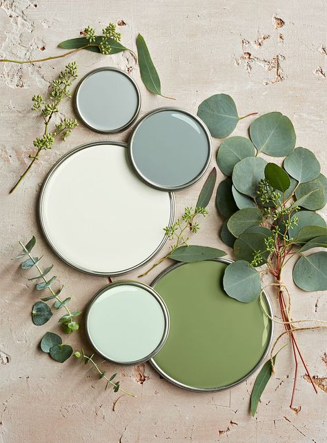 This nature-inspired color palette showcases the shade in various tints ranging from almost-white to deep gray-greens. Look for green paint colors with cool gray undertones for a crisp, organic look. #greenpaint #paintpalettes #colorschemes #paintcolors #bhg Green Aesthetic, Color Pallets, Colour Palettes, Colour Palette, Color Inspiration, Color Palettes, Sage Green, Mood Boards, Paint Colors