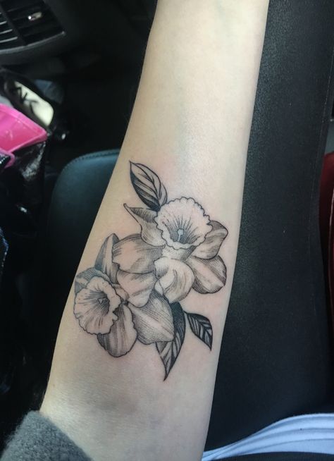 #forearmtattoo #flowers #tattoo #daffodils #delicatetattoo #femininetattoo Tulip And Daffodil Tattoo, Daffodil Drawing Tattoo Ideas, Tattoos Lower Arm, Cruise Tattoo, Dafodill Flowers Tattoo, Flower Arm Sleeve, Half Sleeve Tattoos Lower Arm, Narcissus Flower Tattoo, Narcissus Tattoo