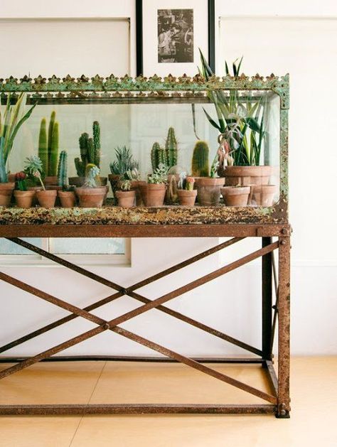 Repurposed Fish Tank Shed Inspiration, Indoor Gardens, Planter Ideas, Décor Boho, Cactus Y Suculentas, Boho Dekor, Succulents Garden, Cacti And Succulents, Indoor Garden