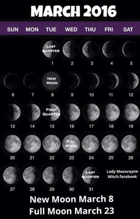 March moons March Moon, Solar Eclipse, Full Moon, Solar, Moon, 10 Things