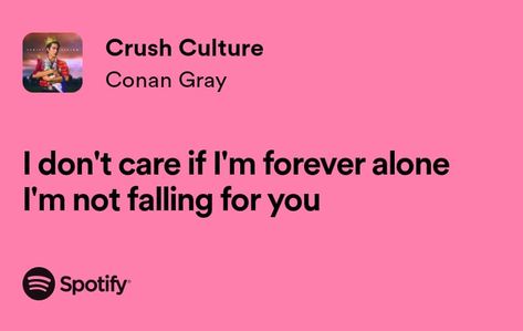 Conan Gray Pink, Crush Culture Conan Gray, Conan Lyrics, Conan Gray Lyrics, Pink Spotify, Discord Status, Pink Lyrics, Status Ideas, Crush Culture