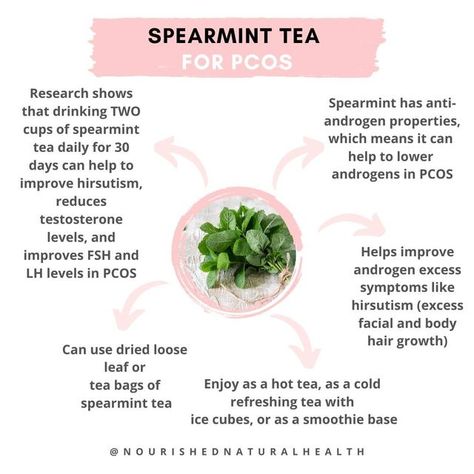 Spearmint Tea Benefits, Smoothie Base, Spearmint Tea, Low Estrogen Symptoms, Fertility Health, Healthy Hormones, Polycystic Ovarian Syndrome, Boiled Egg Diet, Menstrual Health