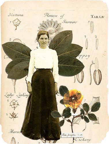 garden+angel Faerie Core, Garden Angel, Vintage Gardening, Portfolio Design Layout, Paper Collage Art, Garden Angels, Editing Inspiration, Pressed Flower Art, Pretty Drawings