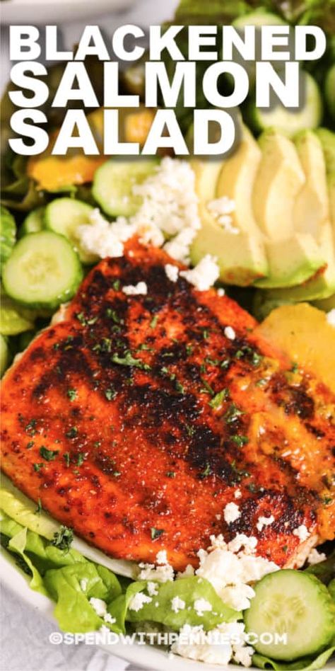 Blackened Salmon Salad is perfect for lunch out on the patio. Blackened salmon with fresh greens, avocado slices, and feta cheese, drizzled with a homemade honey-orange dressing! #spendwithpennies #blackenedsalmonsalad #recipe #maindish #healthy Blackened Salmon Pasta, Salmon Pasta Salad, Pasta Salad Salmon, Blackening Seasoning, Broccoli Pasta Salads, Orange Dressing, Grilled Chicken Caesar Salad, Make A Salad, Salmon Salad Recipes