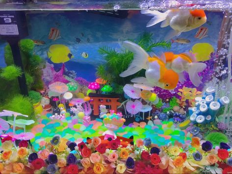 2000s Aquarium Core, 2000s Aquarium Aesthetic, 2000s Aquarium, Kawaii Goldfish, Colorful Fish Tank, Fish Terrarium, Colorful Aquarium, Aquarium Aesthetic, Oranda Goldfish