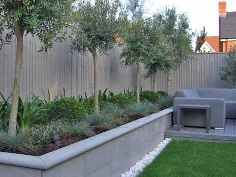 Olive Trees Garden, Contemporary Garden Rooms, Tiles Designs, Exterior Wall Tiles, Raised Planter Beds, Wall Decoration Ideas, Back Garden Design, Estate Garden, Raised Planter