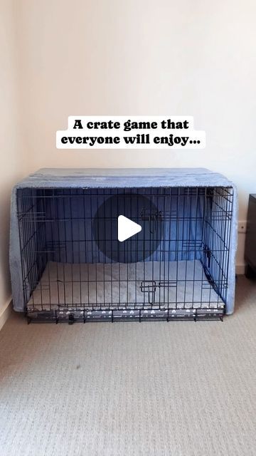 Shaina | Puppy Training and Care Tips on Instagram: "My favourite crate game for race weekend… 

We all spend time each week lazing in front of the TV or reading a book and I’ve got great news… this is the perfect time to fit a crate game in. 

Netflix and Crate is a fun way that your puppy can learn to relax alongside you in their crate is also forms the foundation skill for being able to sit and relax next to you when out in public. 

But don’t stop with this game, we have a list of fun crate games for you to play with your puppy to get them loving their crate in no time. 
📲 Comment “crate guide” and ill send the link to our downloadable crate training guide direct to your DMs. 

#cratetraining #puppytraining #crategames #dogtraining #puppytips #dogtips" Crate Games For Puppies, Games For Puppies, Puppy Games, Puppy Advice, Crate Training Puppy, Crate Training, Reading A Book, Puppy Training, Care Tips