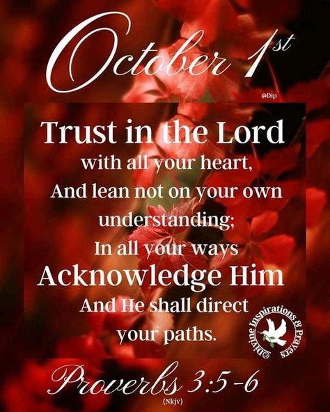 1 October Quotes, October 1st Quote, Faith In God Quotes, October Quotes, Good Morning Happy Sunday, Morning Prayer Quotes, Good Morning God Quotes, Happy October, October 1st