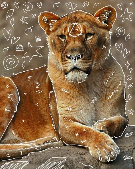 Lion Therian, Lion Lioness, Female Lion, You Are My Everything, Mountain Lion, Please Do, Big Cats, Made By Me, Profile Picture