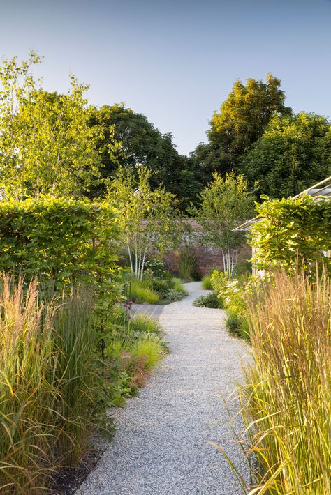 Suffolk Walled Garden | a naturalistic walled garden in East Suffolk Pathways Drawing, Pavers Gravel, Karl Forester, Naturalistic Planting, Limestone Gravel, Architecture Garden Design, English Landscape Garden, Modern English Country, Beech Hedge