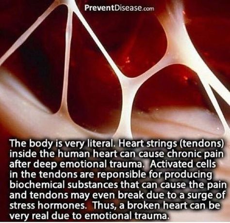 Human Heart Facts, Heart Facts, Facts About Humans, Scary Facts, Human Body Anatomy, Heart Strings, Body Anatomy, Medical Knowledge, Human Heart