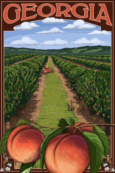 Family Tree Graphic, Peach Orchard, Perfume Label, State Posters, Peach Wallpaper, Peach Art, Tree Graphic, Scene Art, Peach Trees