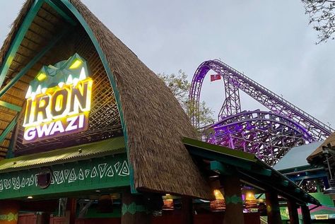 Iron Gwazi, Roller Coasters, Busch Gardens, Wine Festival, Roller Coaster, Tampa, Coasters, Quick Saves