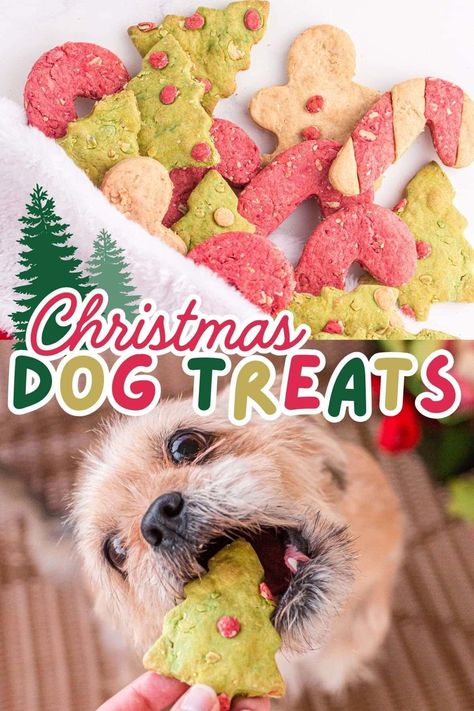 Homemade Christmas Dog Treats, Dog Cookie Recipes, Pet Treats Recipes, Christmas Dog Treats, Easy Dog Treat Recipes, Princess Pinky Girl, Dog Biscuit Recipes, Easy Dog Treats, Healthy Dog Treats Homemade