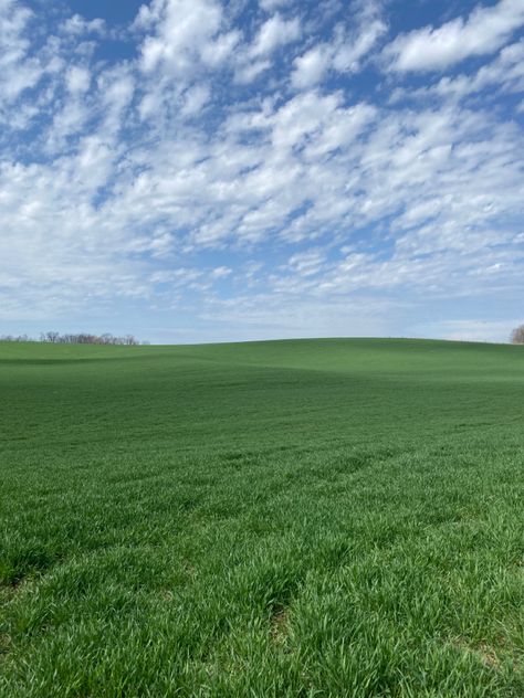 Grass Field Liminal Space, Open Grass Field, Plain Field Aesthetic, Field Background Nature, Green Fields Photography, Big Field Aesthetic, Farm Fields Landscapes, Grassy Field Aesthetic, Green Field Aesthetic