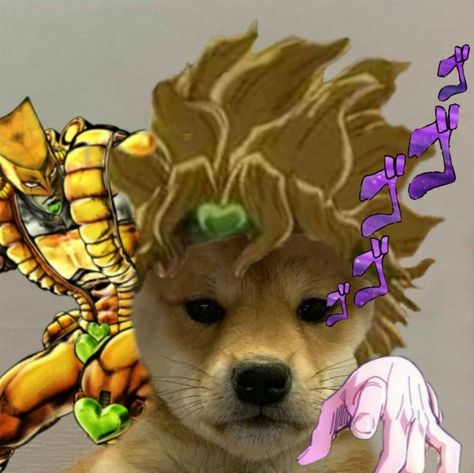 Doge Pfp Anime, Jojo Profile Picture, Dio Wallpapers Jojo, Dio Jojo Bizarre Adventure, Dio Brando Pfp, Dio Wallpapers, Dio Brando Icons, Dio Pfp, Dio Icon