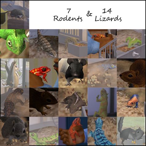 Sims3 caged rodents and lizards converted to Sims2. 21 new pets (11 meshes, 10 recolors). Sims 4 Pets Mod, Lizard Cage, Iguana Cage, Sims 2 Pets, The Sims 3 Pets, Hedgehog Cage, Pet Lizards, Pet Turtle, Pet Snake