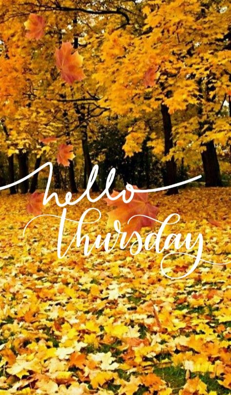 Hello Thursday Hello Thursday Good Morning, Thursday Funny, Thursday Good Morning, Hello Thursday, Thursday Humor, Thursday Quotes, Monday Memes, Happy Thursday, Hello Autumn