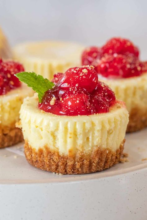 The mini cheesecake bites are so delicious and are a statement for parties or a dessert for the family! Miniature Cheesecakes, Mini Cherry Cheesecakes, Cherry Cheesecake Recipe, Mini Cheesecake Bites, Cheesecake Desserts Recipes, Mini Cheesecake Recipes, Make Ahead Desserts, Cheese Tarts, Cheesecake Cupcakes