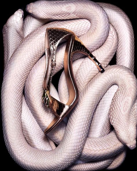 Tom Ford For Gucci on Instagram: “Accessories Campaign / Spring 2004 Photographer: #GuidoMocafico Art Direction: #KarenJoyce . . . . . . . #tomfordforgucci #tomford #gucci…” Runway Heels, Gucci Ad, Gucci Campaign, Tom Ford For Gucci, Snake Shoes, Tom Ford Gucci, Logos Retro, Alligator Handbags, Shoes Ads