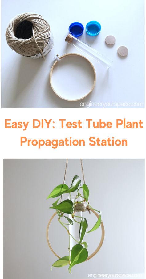 Looking for an easy DIY project or a great indoor plant idea? Try making this Test Tube Propagation Station. #easydiy #indoorplants #indoorgarden House Plant Diy Crafts, Hanging Test Tube Plants Diy, Wire Propagation Station, Propagation Ideas Diy, Easy Plant Crafts, Test Tube Propagation Wall Diy, Diy Hanging Propagation, Test Tube Holder Diy, Glass Test Tube Crafts