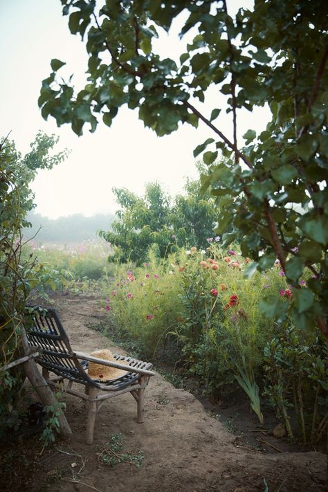 House Bunny, Moroccan Garden, Scent Garden, Hillside Garden, Shady Tree, Bunny Williams, London Garden, Formal Garden, Magical Garden