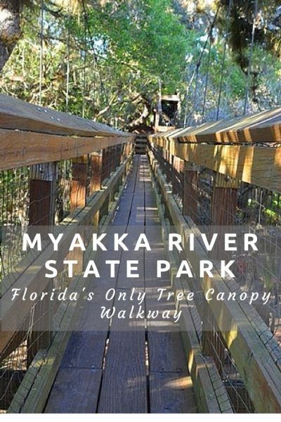 Myakka Canopy Walkway at Myakka River State Park in Sarasota, FL Canopy Walkway, Myakka River State Park, Florida Wildlife, Florida Travel Destinations, Florida Adventures, Venice Florida, Florida State Parks, Gorgeous Scenery, Visit Florida