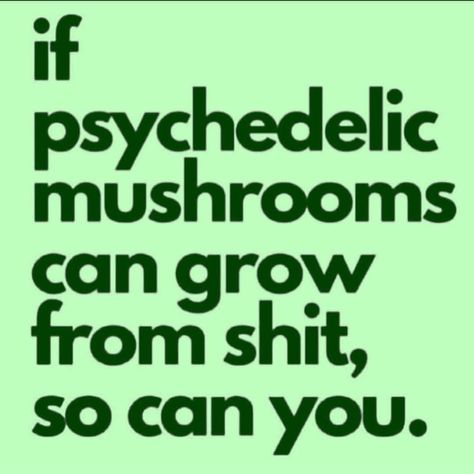 Magic Shroom Quotes, Magic Mushroom Quotes, Mushroom Sayings, Sage Character, Mushroom Quotes, Trippy Quotes, Mushroom Party, Meaningful Sayings, Big Brain