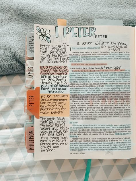 1 Peter Bible Journaling, Peter Aesthetic, Peter Bible, Bible Highlighting, Bible Journal Notebooks, Aesthetic Bible, Bible Things, Personal Bible Study, Bible Journaling Ideas Drawings