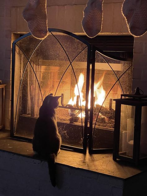 From reddit Cozy By The Fire, Cozy Winter Fireplace, Fireplace Cozy, Winter Fireplace, Indoor Fireplace, Cozy Fireplace, Cabin Fever, Dream Apartment, Cozy Apartment