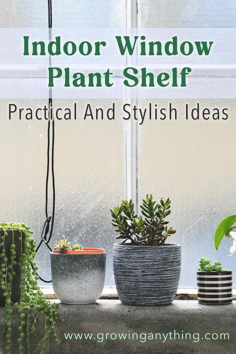 21 Indoor Window Plant Shelf: Practical and Stylish Ideas House Plant Window Display, Office Window Ledge Decor, Plants In Window Ideas Living Room, Plants In Window Ideas, Kitchen Plant Window, Window Sill Decor Living Room, Window Sill Plant Shelf, Diy Window Shelf, Window Ledge Decor