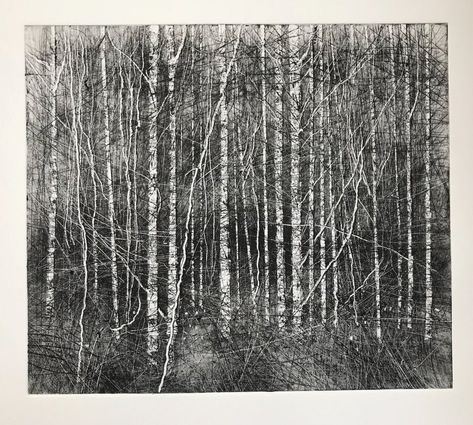 #drawingaugust - Twitter Search / Twitter Woodland Drawing, David Parfitt, Bw Drawing, Architecture Degree, Forest Drawing, Woodland Art, Water Colours, Monochrome Prints, Printmaking Art