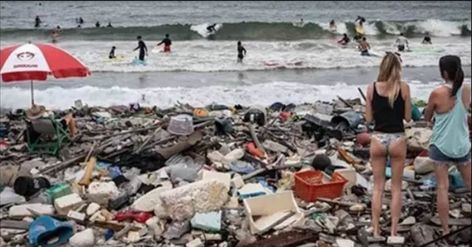 15 Sobering Photos that Prove Humanity has Reached the Peak Of Indifference : Family Life Goals Beach Pollution, Save Our Earth, Environmental Degradation, Natural Ecosystem, Lewis Carroll, Environmental Issues, Us Beaches, Ocean Animals, The Peak