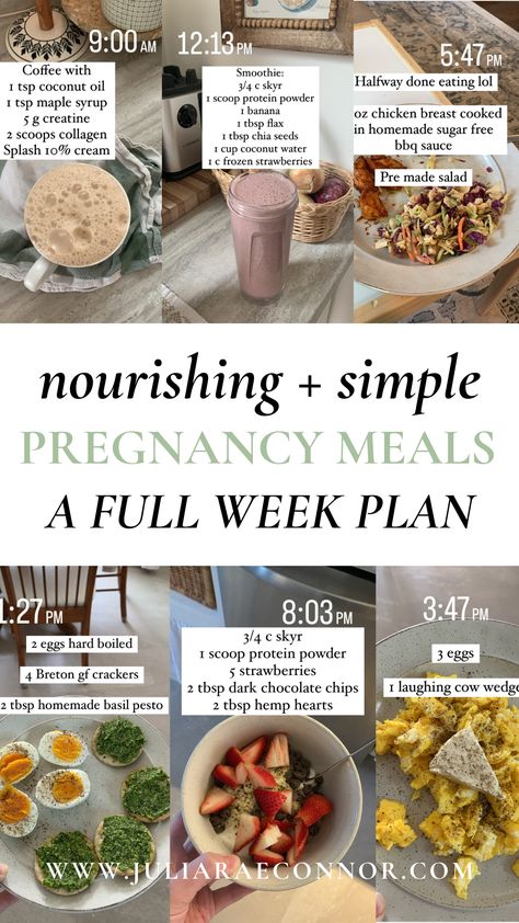 One Week Pregnancy Meal Plan (100g Protein Per Day) — Julia Connor Best Lunches For Pregnant Women, Pregnancy Eating Plan First Trimester, 1st Trimester Dinner Ideas, Protein Pregnancy Meals, First Trimester Meal Ideas, First Trimester Meal Prep, Real Food For Pregnancy Recipes, Bland Pregnancy Meals, 2nd Trimester Meals