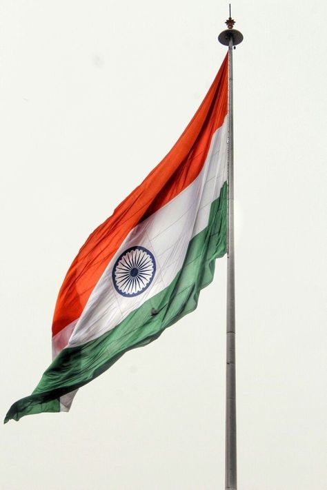 15-August-Images-Download | 15-August-DP |15-August-Wallpaper | 15-August-Gif | 15-August-Status | - 15 August Images Download Indian Flag, Independence Day, Flag, India, Quotes