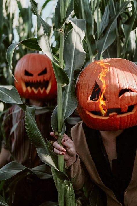 Pumpkin head photo challenge Pumpkin Carving Ideas For Head, People Wearing Pumpkins On Head, Pumpkin Head Photoshoot Ideas, Pumpkin On Head Photoshoot, Pumpkin Head Pics, Pumpkin Heads Photoshoot, Pumpkin Head Carving Ideas, Pumpkin Head Ideas, Pumpkin Head Couple Pictures