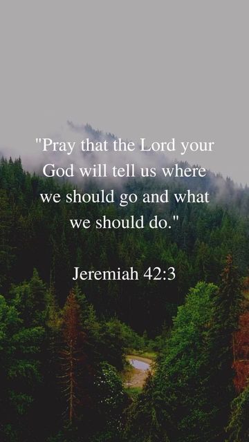 Jackie | Prayers up to God on Instagram: "Say ‘Amen’ if you love Jesus ❤️ 📖 Jeremiah 42:3 “Pray that the Lord your God will tell us where we should go and what we should do.” #readthebible #prayerwarrior #jesuslovesyou #prayer #godswill #dailyreflection #holyspirit #gospel #godfirst #jesuschrist" Jeremiah 42:3, Jeremiah Scripture Quotes, Gods Will, Throne Of Grace, Study Notebook, Bible Study Notebook, Bible Love, Gods Word, Christian Bible Quotes