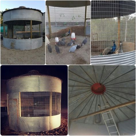 Grain Bin Chicken Coop Ideas, Chicken Coop Silo, Grain Bin Chicken Coop Silo House, Grain Bin Animal Shelter, Corn Crib Chicken Coop, Grain Silo Chicken Coop, Silo Chicken Coop, Grain Bin Chicken Coop, Bin Gazebo