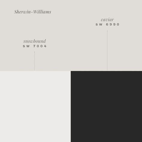 Here are 8 different black and white paint pairing for interiors. Over the past year, I’ve been collecting black and white paint samples, and these are some of my favorites. We chose Sherwin-Williams Tricorn Black and Pure White for our home, but if you’re looking for a different combination, this guide is for you! #InteriorDesign #HomeDecor #PaintColors #BlackAndWhite #ColorPairing #TrueWhite #Blackboard #SherwinWilliams #CrispWhite #ModernHome #HomeInspiration #DesignInspo #InteriorStyli... White Color Palette, Tricorn Black, Sherwin Williams Gray, Light Gray Paint, Grey Paint, Pallet Painting, Color Pairing, Paint Samples, White Paint