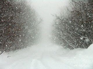 snow Deep Snow Pictures, Scary Snow Aesthetic, Snow Horse Aesthetic, Hygge Winter, Horse Snow Aesthetic, Strange Weather, Creepy Snowy Forest, I Love Snow, Weather Seasons