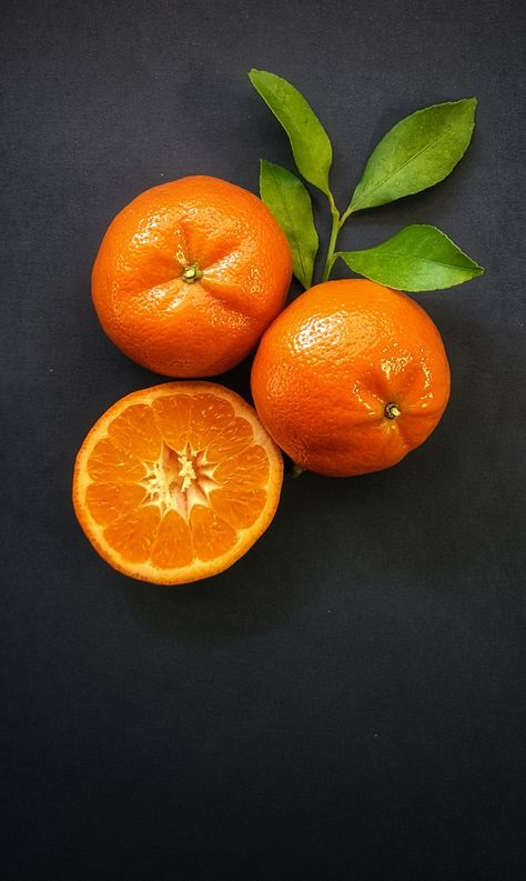 Citrus of Rederberg Estates Tangerine Still Life Photography, Citrus Still Life Photography, Fruit Still Life Photography Simple, Orange Still Life Reference, Oranges Still Life Photography, Oranges Reference Photo, Citrus Still Life, Orange Reference Photo, Fruit Reference Photos For Artists